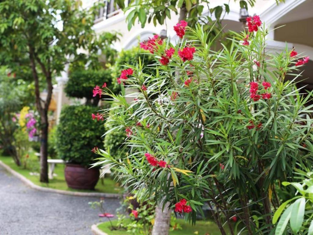 Alice Villa Hotel Takeo Dış mekan fotoğraf